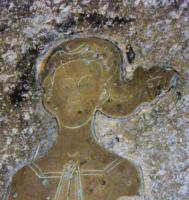 Reticulated head dress